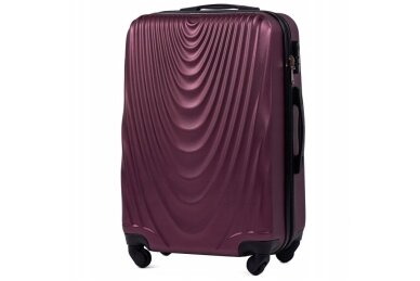 Bordinis lagaminas Wings 304